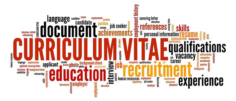 CV and career skills development